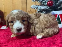 processed/49634e56-874b-4a18-8b58-d4f8f5fdc711/listing/80d5edf2-8fac-4850-8710-e17b4ad5b319/b0193b1a-fdea-455e-bbf2-4b31605c6a27