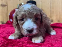 processed/49634e56-874b-4a18-8b58-d4f8f5fdc711/listing/80d5edf2-8fac-4850-8710-e17b4ad5b319/e9b4a318-a932-45d7-aa65-7e924df77b93