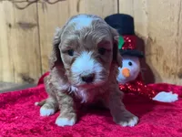 processed/49634e56-874b-4a18-8b58-d4f8f5fdc711/listing/80d5edf2-8fac-4850-8710-e17b4ad5b319/ed5d345e-fb9b-45b3-a005-9e9d5c59209c