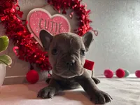 processed/49634e56-874b-4a18-8b58-d4f8f5fdc711/listing/a584a23a-29fa-40d9-98df-9418d35e755d/056b8d7f-7b5f-4c7d-94c4-1e510458f8d0