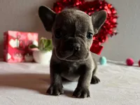 processed/49634e56-874b-4a18-8b58-d4f8f5fdc711/listing/a584a23a-29fa-40d9-98df-9418d35e755d/3f65d889-66e5-4a4e-93df-a39f3414de32