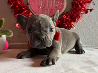 processed/49634e56-874b-4a18-8b58-d4f8f5fdc711/listing/a584a23a-29fa-40d9-98df-9418d35e755d/4abf60b1-397b-4b6d-b032-b15d144cc6a4