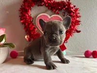 processed/49634e56-874b-4a18-8b58-d4f8f5fdc711/listing/a584a23a-29fa-40d9-98df-9418d35e755d/9931ca8a-3ce5-4dd4-ab83-49efb7e8a834