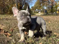 processed/49634e56-874b-4a18-8b58-d4f8f5fdc711/listing/a5d2f188-89b1-4f2f-add9-8d43108aaba8/6db37b56-311e-42ba-8254-edc9ef7e5fe7