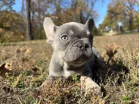 processed/49634e56-874b-4a18-8b58-d4f8f5fdc711/listing/a5d2f188-89b1-4f2f-add9-8d43108aaba8/df37bf64-9a77-4552-8509-28d337bcca7a