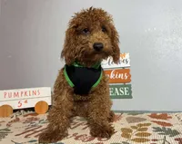 processed/49634e56-874b-4a18-8b58-d4f8f5fdc711/listing/f2ce7c3d-49a2-4a29-94eb-09064e299b35/00578ae0-32a8-453c-8374-116b40df4441