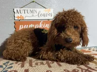 processed/49634e56-874b-4a18-8b58-d4f8f5fdc711/listing/f2ce7c3d-49a2-4a29-94eb-09064e299b35/5f3bfee1-5af0-48c9-a75b-11dfff5d65a5