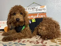 processed/49634e56-874b-4a18-8b58-d4f8f5fdc711/listing/f2ce7c3d-49a2-4a29-94eb-09064e299b35/eccb4de0-646a-408a-9b94-f0b436b9082c