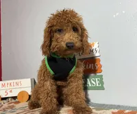 processed/49634e56-874b-4a18-8b58-d4f8f5fdc711/listing/f2ce7c3d-49a2-4a29-94eb-09064e299b35/ecdc6d00-2ce6-4a09-aee1-5997c93d53e7