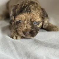 processed/496cf483-bf9c-4fee-87df-d3dba11ebc38/facility/2a00dc82-b2e5-4a9c-b1b8-530e0f1cab82