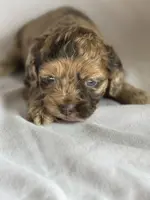 processed/496cf483-bf9c-4fee-87df-d3dba11ebc38/facility/2a00dc82-b2e5-4a9c-b1b8-530e0f1cab82