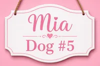 Mia (Merle Color), a female Sheepadoodle for sale in Higdon, AL – 10 of 10