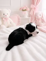 Luna, a female Sheepadoodle for sale in Higdon, AL – 4 of 7