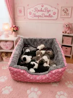 Trixie, a female Sheepadoodle for sale in Higdon, AL – 5 of 6