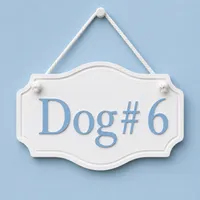 Loki, a male Sheepadoodle for sale in Higdon, AL – 9 of 9