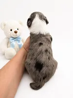 Finn, a male Sheepadoodle for sale in Higdon, AL – 4 of 8