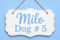 Milo (Merle) Minature, a male Sheepadoodle for sale in Higdon, AL – 5 of 10