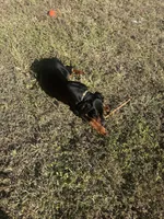 processed/49751ba7-c430-44fb-bdef-a651a7aa47c6/listing/2de45916-af53-49f1-9e7a-2094727a57d3/0552d7d8-2062-403d-9641-d3dd9a3ca0ca