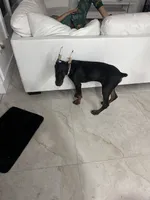 processed/49751ba7-c430-44fb-bdef-a651a7aa47c6/listing/2de45916-af53-49f1-9e7a-2094727a57d3/0df2a4f4-138d-4e46-8abf-0d2f1c067af4