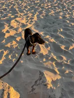 processed/49751ba7-c430-44fb-bdef-a651a7aa47c6/listing/2de45916-af53-49f1-9e7a-2094727a57d3/f7dfaa53-cb7a-4835-ac8a-31dd28f1d082