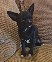 processed/497a8b61-6c40-4715-9df2-79b0f54078b9/listing/d07a1b45-3f5f-499b-8188-909dde396fc6/06c6ee67-f5ec-4fdd-8beb-03682435b551