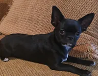 processed/497a8b61-6c40-4715-9df2-79b0f54078b9/listing/f89dab40-6a50-4fe6-bf8b-4ad623e35bc0/3c6e57ab-bfb2-4f8c-ab88-27f615eda5db