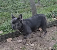 processed/497caa69-c6c3-487f-abf0-11b7916629ac/listing/89c2d106-4b72-4785-a8e6-5ea1ae29173c/88d77971-f41a-4230-955d-3e6a715e6343