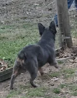 processed/497caa69-c6c3-487f-abf0-11b7916629ac/listing/89c2d106-4b72-4785-a8e6-5ea1ae29173c/b7f8d77e-79c9-4251-9dfe-8c98789987ef