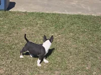 processed/498eded2-9c96-4476-aa56-28eefd60fe33/listing/3c6a6795-1f39-4edd-a8c6-1fb9c24d0db7/4959d06d-d98c-4dfe-a0fe-07cca7b380df