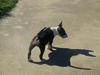 processed/498eded2-9c96-4476-aa56-28eefd60fe33/listing/3c6a6795-1f39-4edd-a8c6-1fb9c24d0db7/80197d74-8e6d-4833-b9a9-3a2783475f19