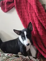 processed/498eded2-9c96-4476-aa56-28eefd60fe33/listing/3c6a6795-1f39-4edd-a8c6-1fb9c24d0db7/c121c304-7b4e-4f02-840d-1c8cb5438d12