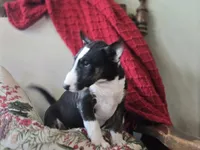 processed/498eded2-9c96-4476-aa56-28eefd60fe33/listing/3c6a6795-1f39-4edd-a8c6-1fb9c24d0db7/e2dd1f55-96af-4527-a270-3526b2043137