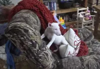 processed/498eded2-9c96-4476-aa56-28eefd60fe33/listing/d2636458-e8d5-45a4-add0-50a409bf4c3b/5c74fa0c-8e6e-43bf-9ce9-2948fdc4ffd6