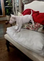 processed/498eded2-9c96-4476-aa56-28eefd60fe33/listing/d2636458-e8d5-45a4-add0-50a409bf4c3b/6cefea3d-24e0-471a-8b6d-769826da57e2