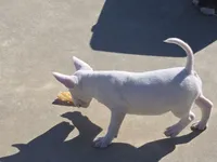 processed/498eded2-9c96-4476-aa56-28eefd60fe33/listing/d2636458-e8d5-45a4-add0-50a409bf4c3b/b5bb1405-dc80-4661-b613-a8b9f6fe87e8