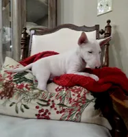 processed/498eded2-9c96-4476-aa56-28eefd60fe33/listing/d2636458-e8d5-45a4-add0-50a409bf4c3b/b814f9f6-3dca-4332-af5b-be99c6ccec37