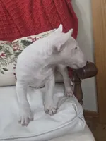 processed/498eded2-9c96-4476-aa56-28eefd60fe33/listing/d2636458-e8d5-45a4-add0-50a409bf4c3b/c39efc87-b598-4cff-b6fa-4030dbee105c