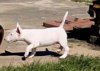 processed/498eded2-9c96-4476-aa56-28eefd60fe33/listing/d2636458-e8d5-45a4-add0-50a409bf4c3b/ca20ef7b-8f03-4b58-ba91-48fab5b47e78