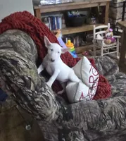 processed/498eded2-9c96-4476-aa56-28eefd60fe33/listing/d2636458-e8d5-45a4-add0-50a409bf4c3b/fecee30c-7d7d-4330-ac55-6ef6d43f3c5e