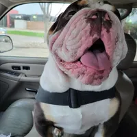 processed/499a2ba4-483e-4db6-9a0a-2779fc52070a/facility/832a3c93-dcd9-459b-b50a-2d7fb47c4c48