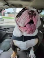 processed/499a2ba4-483e-4db6-9a0a-2779fc52070a/facility/832a3c93-dcd9-459b-b50a-2d7fb47c4c48