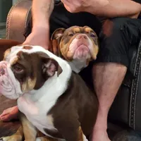 processed/499a2ba4-483e-4db6-9a0a-2779fc52070a/facility/b246db3c-be0c-411f-9d56-e9981029856b