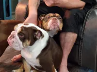 processed/499a2ba4-483e-4db6-9a0a-2779fc52070a/facility/b246db3c-be0c-411f-9d56-e9981029856b