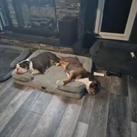 processed/499a2ba4-483e-4db6-9a0a-2779fc52070a/facility/b582a94d-965a-4a38-a360-12a504ef6cef