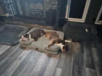 processed/499a2ba4-483e-4db6-9a0a-2779fc52070a/facility/b582a94d-965a-4a38-a360-12a504ef6cef