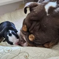 processed/499a2ba4-483e-4db6-9a0a-2779fc52070a/facility/c4bb005f-f646-472b-a3d2-dc5b0208ce2c