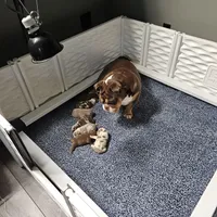 processed/499a2ba4-483e-4db6-9a0a-2779fc52070a/facility/d495e9d6-ff65-4666-b095-4d134e31a594