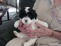 processed/499cef94-322d-420d-b356-adae48547270/listing/1bda7a80-d274-4373-9cbc-7e62d04521d8/857a37f6-1790-4860-a9d0-3a6b958e04e4