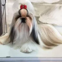 processed/499fb611-c070-448d-9e44-712d963ff526/facility/616c5a74-c88e-4b02-ac82-c2da5009a527