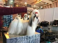 processed/499fb611-c070-448d-9e44-712d963ff526/facility/9cf0b6e2-377f-46e2-a662-af5a541f350d